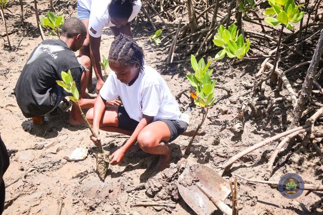 Twende Green Planet – 070